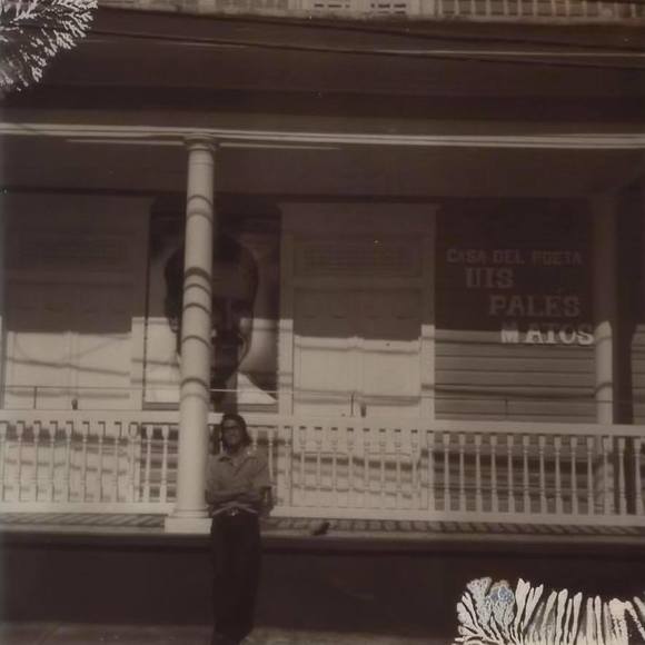 Meet your Posher, Joshua - Picture 1 of 1